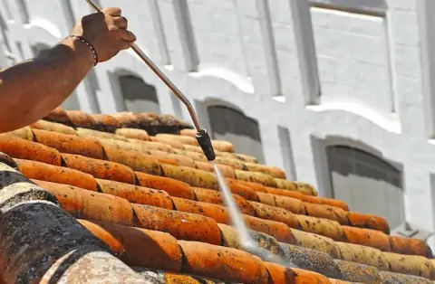 Nettoyage de toitures - Ferney-Voltaire